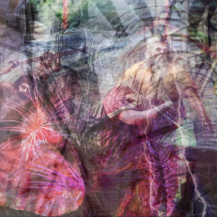 "Eve of Destruction" PS Perkins 2019 (digital collage)